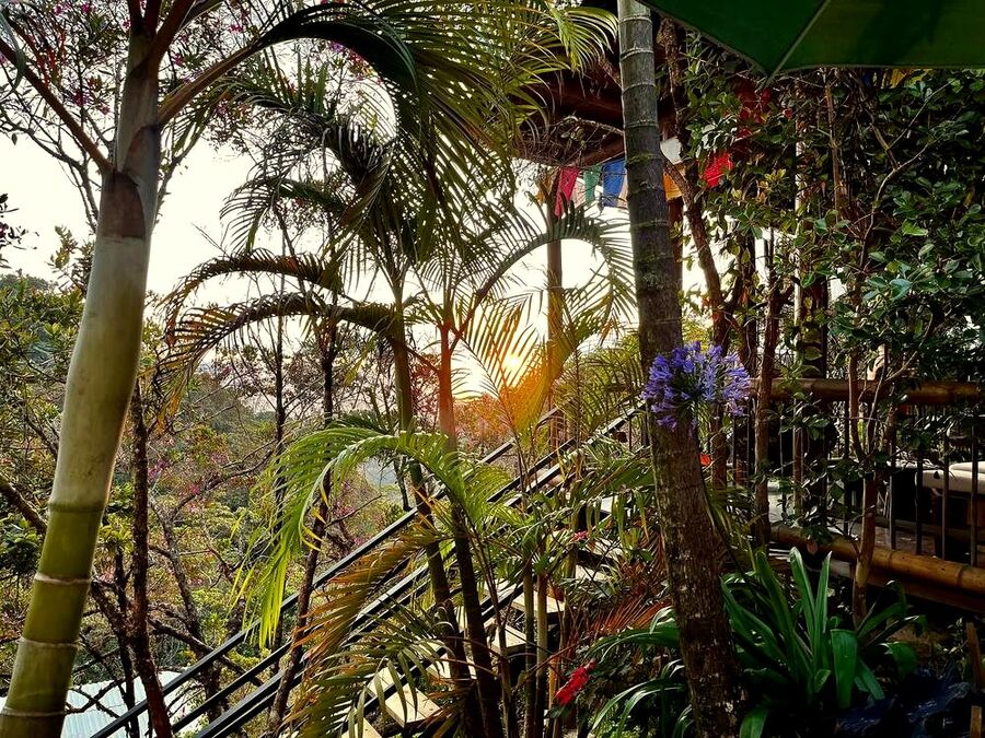 Jungle stairway with prayer flags at sunset