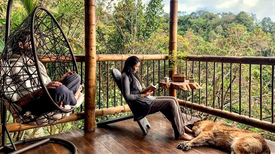 Guests relaxing on the balcony with the resident dog and hanging chair