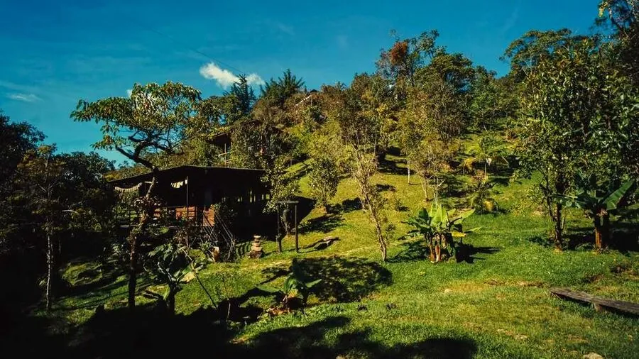Vista aérea de las cabañas en el bosque