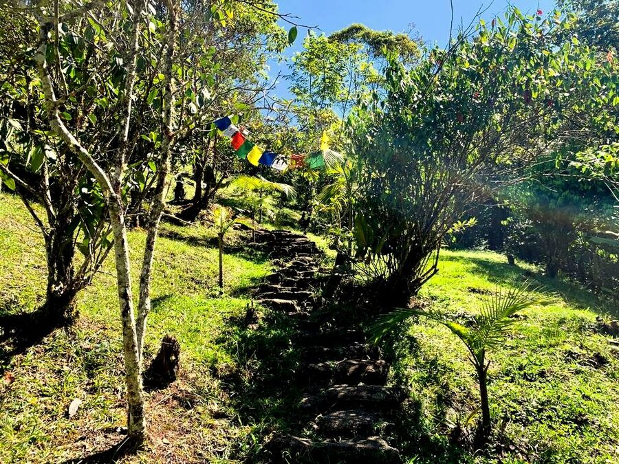 Stone steps leading up through the jungle, marked with prayer flags