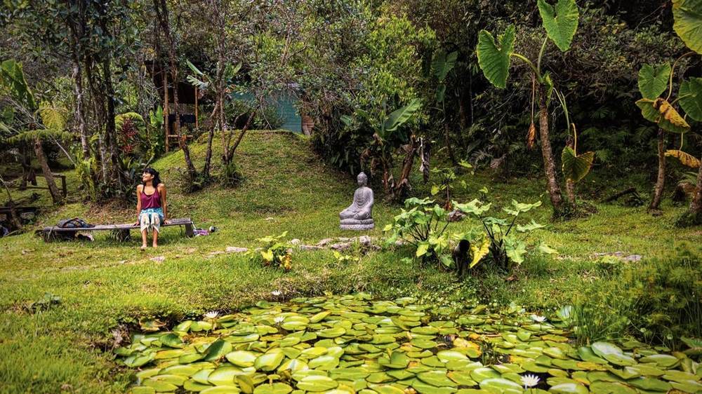 Garden path with Buddha statue and lily pond