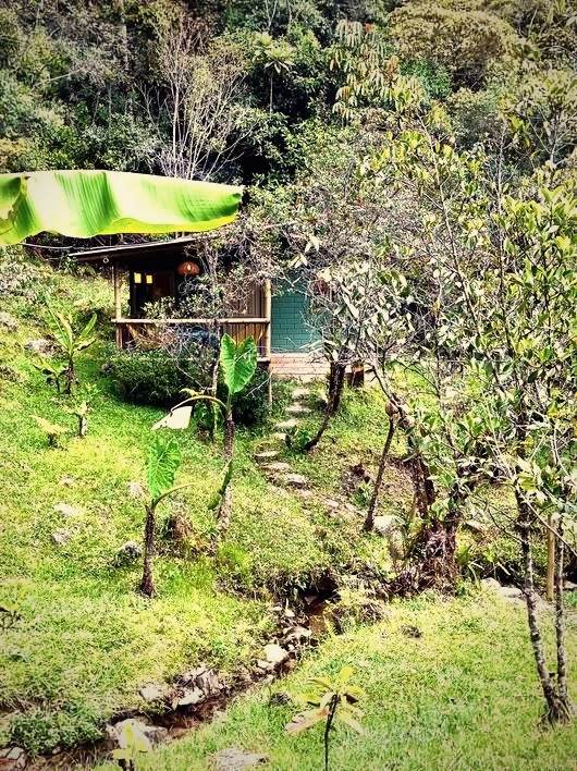 Creekside Cabin exterior