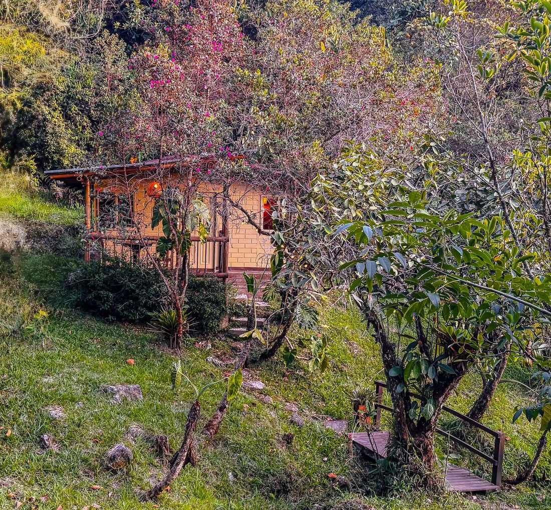 Creekside Cabin exterior view among the trees