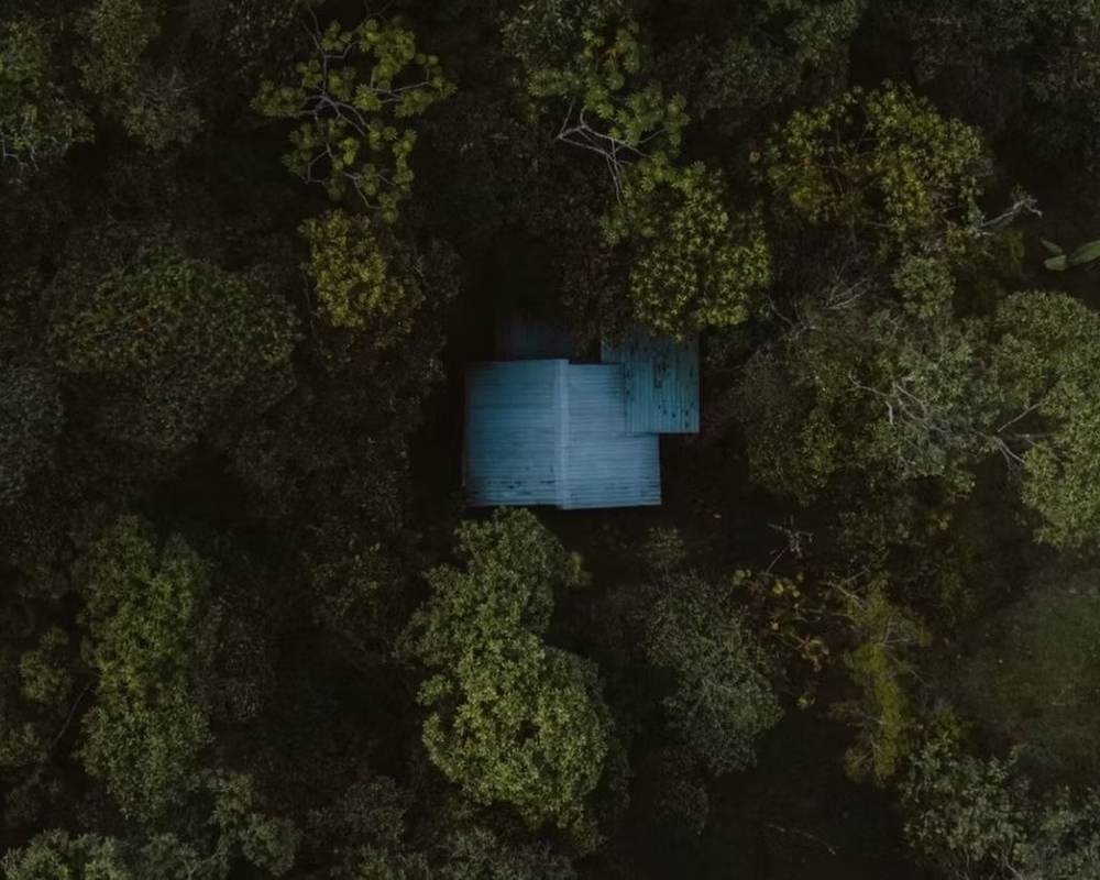 Forest Cabin aerial view