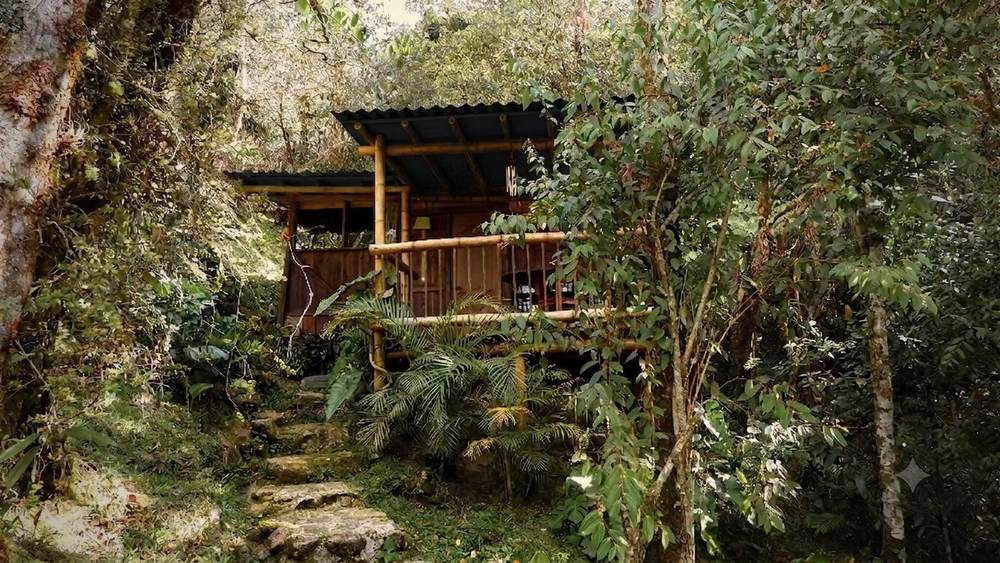 Forest Cabin exterior