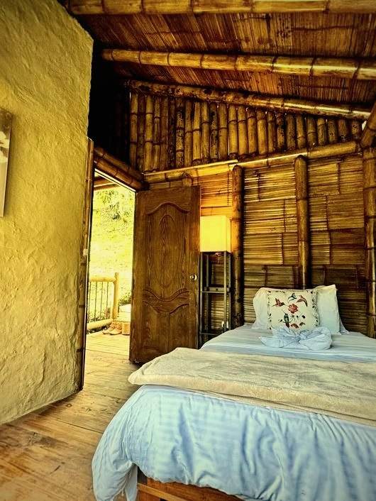 Private Room view