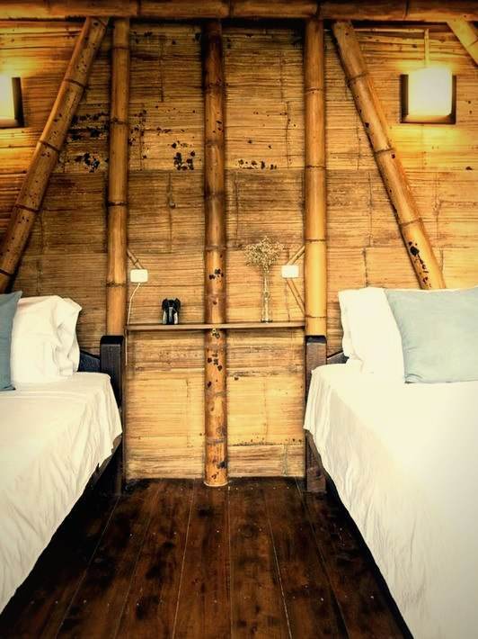 Shared Twin Room